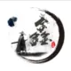 随意的风