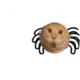 ucuyddydbxdh