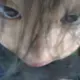 jie6610的头像-投影工坊