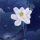fshuizhe