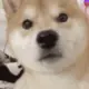 sesqwpo