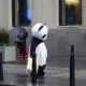 小毛