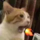 AC怪