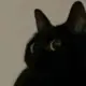 l8547