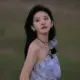 huanpian