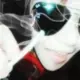 Znotz