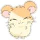灵猫