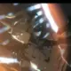 StelleCaelus的头像-投影工坊