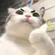 西门桃桃
