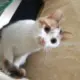 645785677