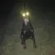 kjdh