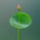 幸福快乐生活