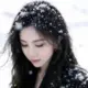 firtes的头像-投影工坊