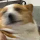 LewLee