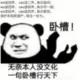 adloafoet