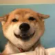鲲之主CC