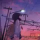 huixiang的头像-投影工坊