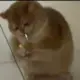 1544135173