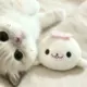 huowu的头像-投影工坊