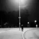 13062505067