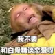 头像-方舟游戏