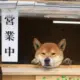 今昔丶往事