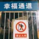 了sad