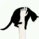 赶紧