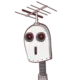 若岚