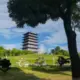 40834605