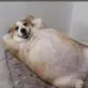 wyyxhmyxj