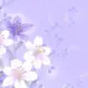 forever销神