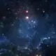 3382683306
