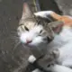 哈哈