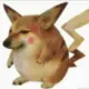行行行