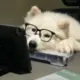 卷卷