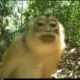 头像-方舟游戏