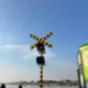 1294842226