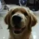 WJY295612