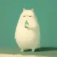 skyf