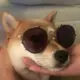 好看电影网 的头像