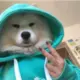 wmrbsmr的头像-投影工坊