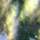绅士君大人