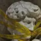 Yu.43236的头像-投影工坊