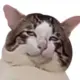 匿名