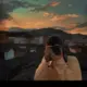 Tg482230887的头像-投影工坊