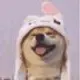 阿柴啊