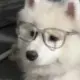 从早睡到晚的头像-投影工坊