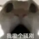 asd456的头像-投影工坊