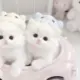 叔叔.